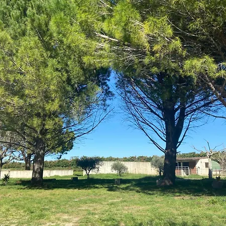 Marquet Holiday home Beaucaire (Gard)